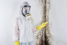 Trusted Deltona, FL Mold Removal & Remediation Experts